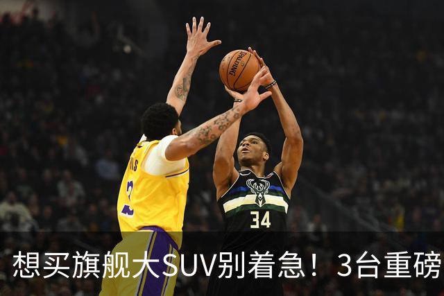 想买旗舰大SUV别着急！3台重磅新车在路上：全是大厂造