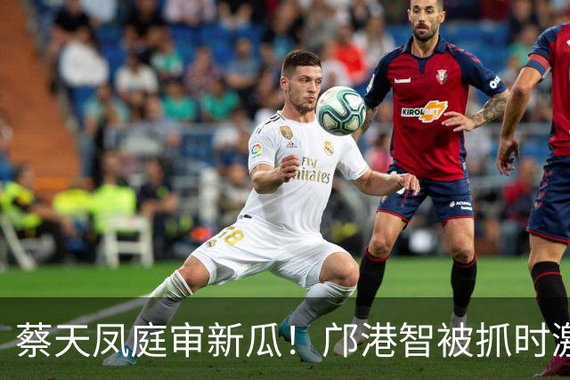 蔡天凤庭审新瓜!邝港智被抓时激烈反抗,右脸被擦伤,逃脱地存疑